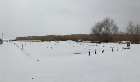 IMG_0034