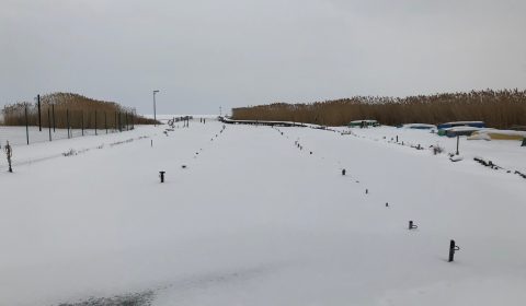 IMG_0035