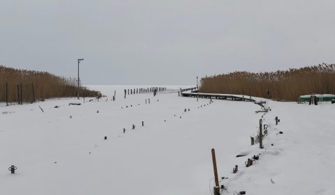 IMG_0037