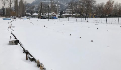 IMG_0038