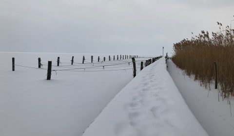 IMG_0039