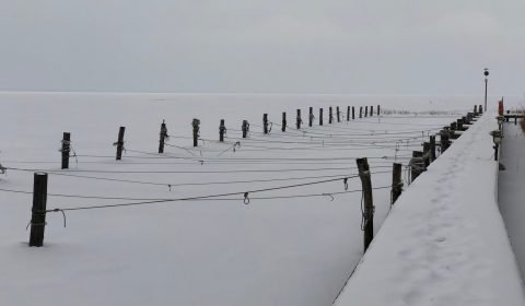 IMG_0040