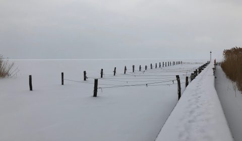 IMG_0041