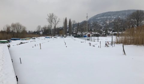 IMG_0042