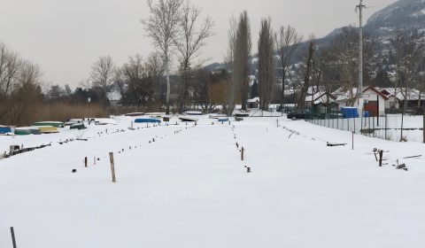 IMG_0043