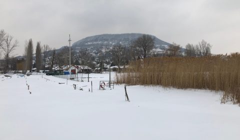 IMG_0045